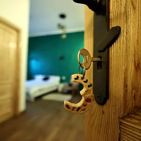 Branko's * تيميشورا