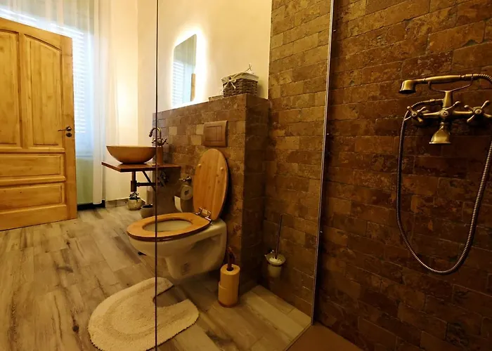 דירה Branko's טימישוארה