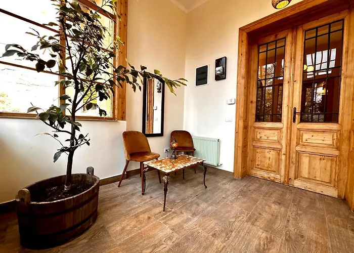 Branko's تيميشورا